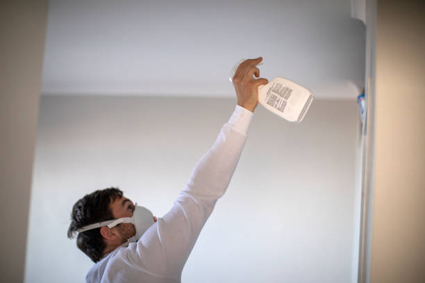 Best Commercial Mold Removal  in Castle Shannon, PA